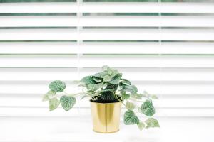 Stunning 2 bedroom apartment in fantastic location