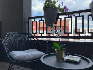 Apartman 49