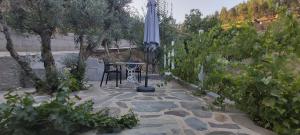 Casa Oliveiras - Casas do Sinhel