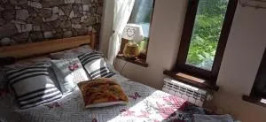 Ски студио Снежанка в Грийн лайф Пампорово - Banite