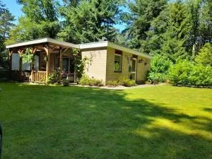 Vrijstaande bungalow bij het bos in het Vechtdal - Arriën