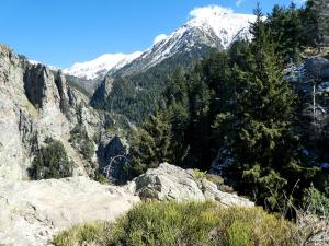 Maisons de vacances L'Ours Brun holiday rental : photos des chambres