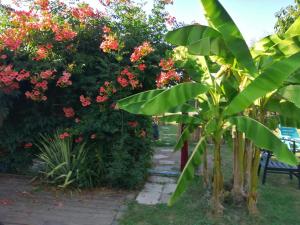 B&B / Chambres d'hotes Jacuzzi Massage sur rdv,Duo,reiki,californien, reflexologie plantaire, et bouteille mousseux offerte : Chambre Lit Queen-Size Deluxe