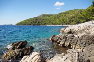 Apartments by the sea Brna, Korcula - 4468