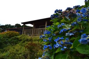 Chalets Beautiful lake view 3 bedroom chalet. : photos des chambres