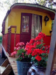 Tentes de luxe Roulotte Tzigane au bord du ruisseau - Drome Provencale (2p) : photos des chambres