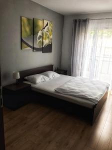 Apartament 2plus2