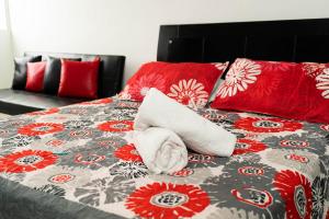 Cozy Apartment in El Laguito