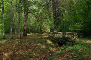 B&B / Chambres d'hotes Chateau d'Argentonesse : photos des chambres