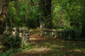 B&B / Chambres d'hotes Chateau d'Argentonesse : photos des chambres