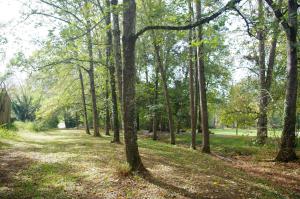 B&B / Chambres d'hotes Chateau d'Argentonesse : photos des chambres