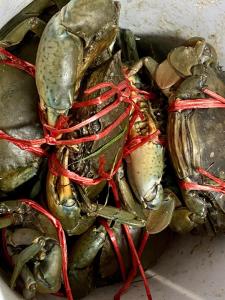 Ma Baan House by the sea