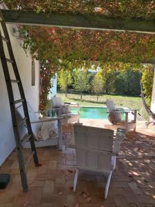 THE OLIVE PRESS - Alentejo