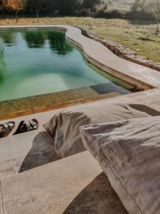 THE OLIVE PRESS - Alentejo