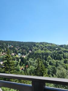 Apartman Mela Kop 11