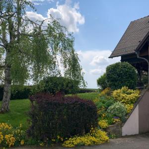 Appartements Appartement charmant a Hochfelden - 100 m² et parking gratuit : photos des chambres