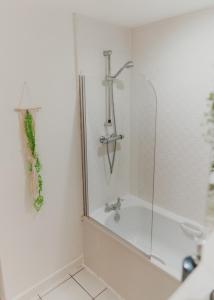 Lovely Bohemian Apartment in Heart of City Life