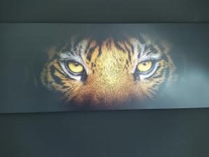 Ferienhof Dachsberg Wohnung Maritim