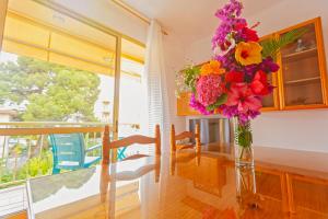 Apartamentos El Oasis