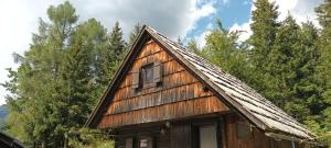 Planinska hišica pod macesni - Bohinj