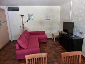 Gezellig appartement in groene omgeving