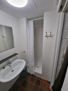 Gezellig appartement in groene omgeving