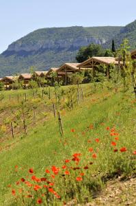 Hotels Domaine Saint Esteve : Chalet du Causse