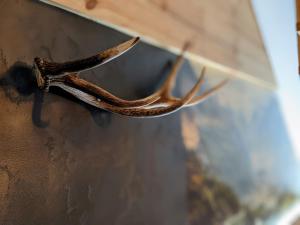 NOMAD Szklarska Poręba