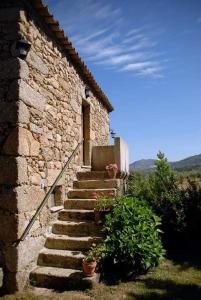 Agro-Turismo - Quinta do Pinheiro