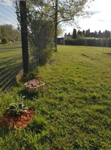 ZöldPortál Vendégház Tiszanána -Dinnyéshát