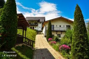 Pensiunea La Mamaie - 凯亚