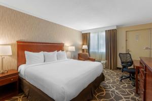 King Room room in Best Western Plus Burley Inn & Convention Center