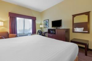 King Room with Roll-In Shower - Disability Access/Non-Smoking room in Best Western Seneca-Clemson
