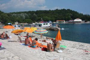 Apartments with a parking space Selce, Crikvenica - 5495