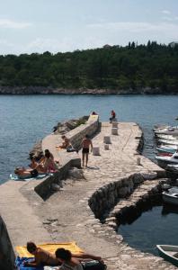 Apartments by the sea Dramalj, Crikvenica - 5522 