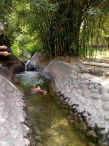 Los Horneros, Cabañas