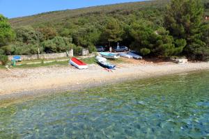 Apartments by the sea Cove Merascica, Cres - 8071