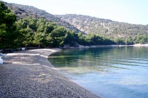 Apartments by the sea Valun, Cres - 386 