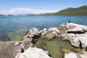 Apartments by the sea Zuronja, Peljesac - 12020