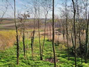 Holiday house with a parking space Orolik, Slavonija - 14358