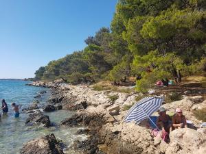 Apartments by the sea Pakostane, Biograd - 16203 