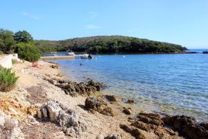 Apartment Punta kriza 8082b 