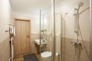 Apartment Rezidence - Javor & Wellness