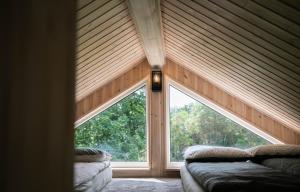 Arčiau Gamtos Virinta