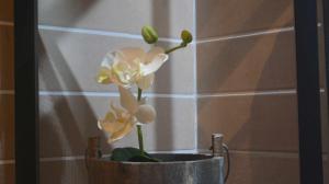 Mazi Apartments Downtown