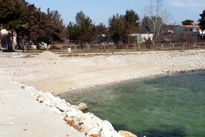 Apartments by the sea Sveti Filip i Jakov, Biograd - 17114