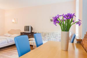 Cozy apartments near Olympic Stadium