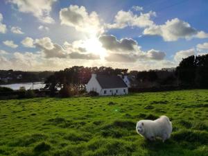 Maisons de vacances Maison de 4 chambres avec vue sur la mer jardin clos et wifi a Plouguerneau a 1 km de la plage : photos des chambres