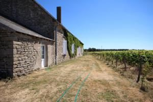 Maisons de vacances Varigny : photos des chambres