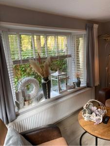 Luxe Chalet met prachtig terras op de Veluwe , veel privacy